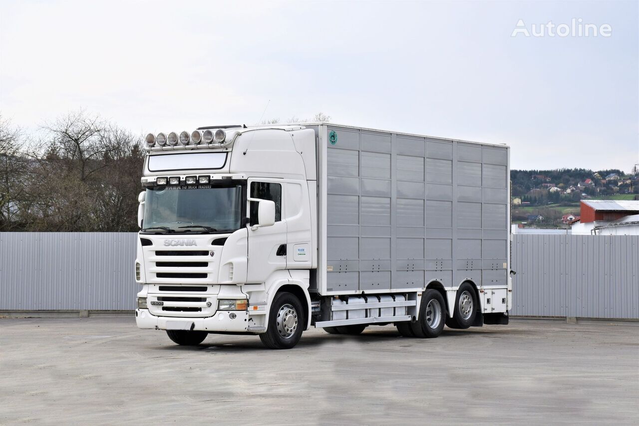Scania R 500 camión para transporte de ganado