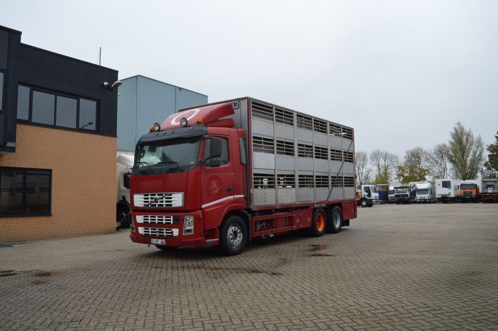 Volvo FH 380 Állatszállító camión para transporte de ganado